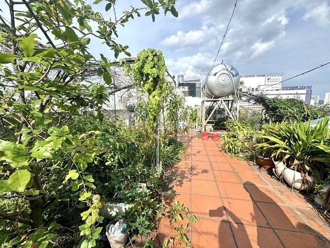 Chính chủ bán biệt thự Nguyễn Thị Thập Q.7 - 8m x 16m giá 34 tỷ