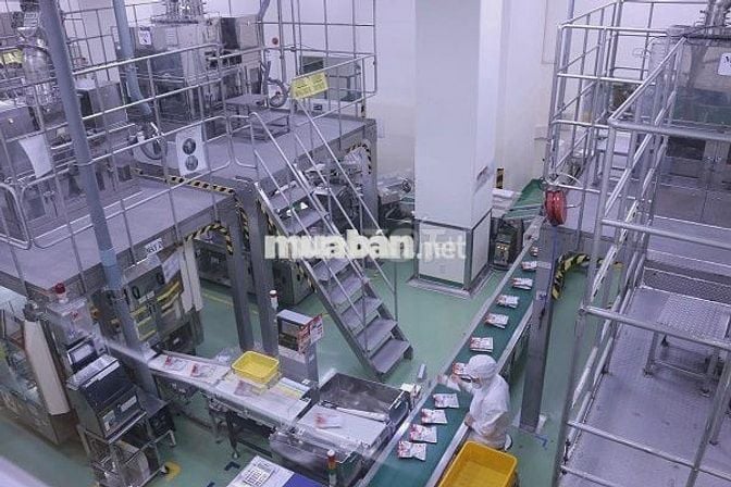 NHÂN VIÊN ĐÓNG GÓI BỘT NGỌT - NGÃ BA VŨNG TÀU
