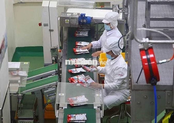 NHÂN VIÊN ĐÓNG GÓI BỘT NGỌT - NGÃ BA VŨNG TÀU