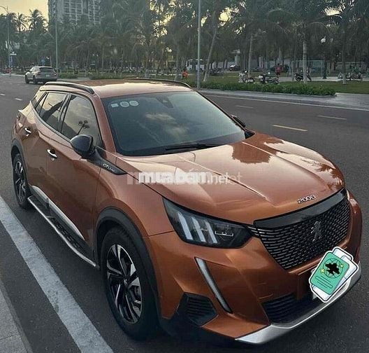 Peugeot 2008 GT Line 2021 Cam