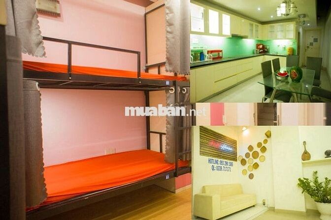 Phòng ghép Đại học Y Dược UMP Hồng Bàng Sinh viên Văn phòng Ngành Y
