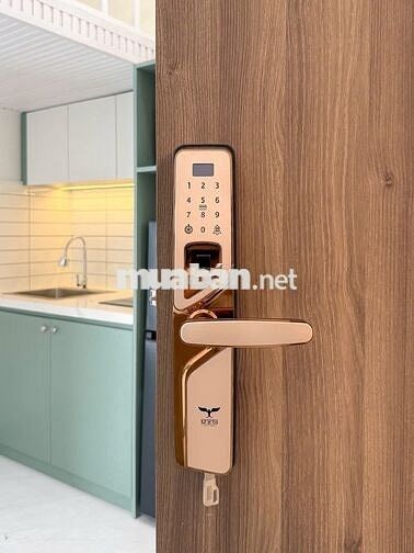 Căn hộ có gác full nội thất quận 3 đường CMT8 chuẩn chung cư mini