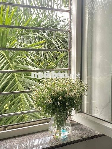 🏠 CHÍNH CHỦ CHO THUÊ CĂN HỘ VICOLAND – SƠN TRÀ, ĐÀ NẴNG