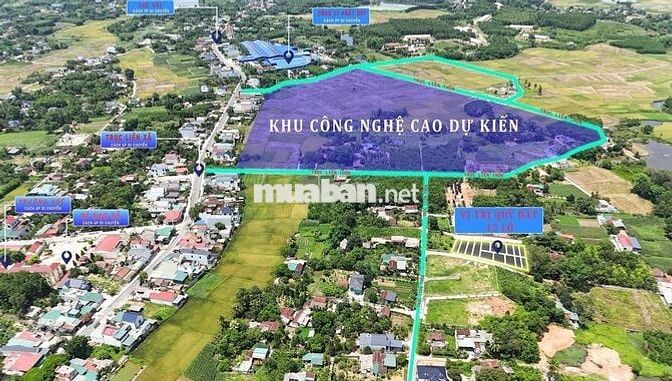 Bán đất nền ven KCN Lam Sơn Sao Vàng giá cực tốt sẵn sổ 