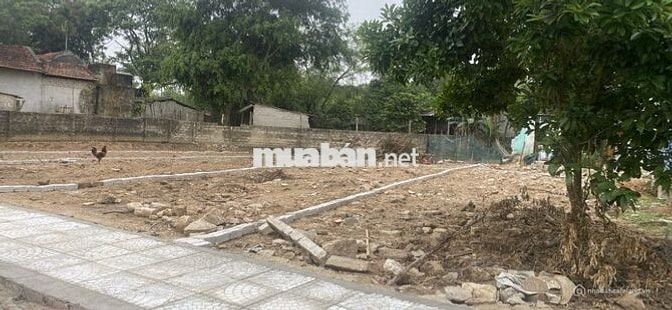 Bán đất nền Triệu Sơn sẵn sổ nở hậu giá tốt