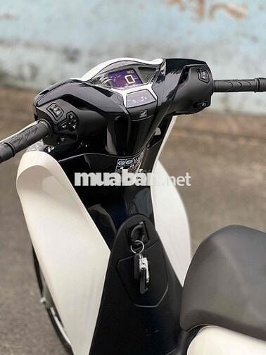 Honda SHVN 160cc ABS Trắng Đen 2025