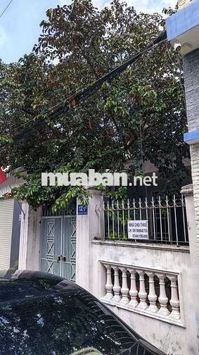 Cho thuê nhà nguyên căn  Nguyễn Hữu Cảnh