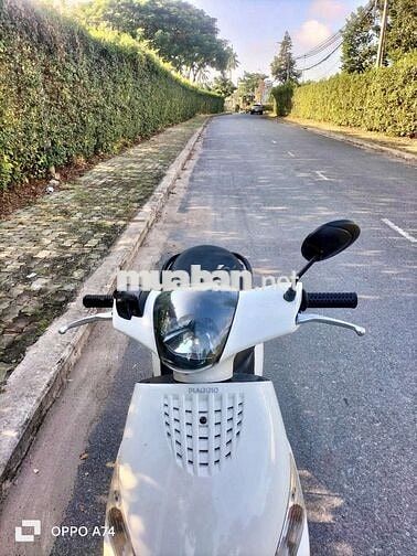 Piaggio Zip xe zin, máy móc êm như xe điện 