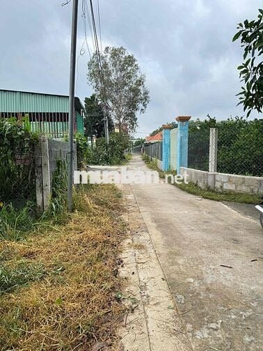 Chủ ngộp cần tiền bán gấp lô đất cách 100m đường lớn Hương Lộ 15 đang