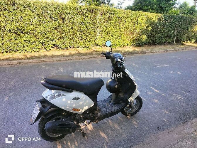 Piaggio Zip xe zin, máy móc êm như xe điện 