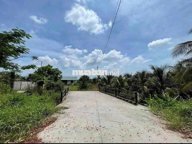 Cần bán gấp lô đất full thổ cư