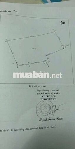 Cần bán gấp căn nhà gấp 4 và 10 phòng trọ