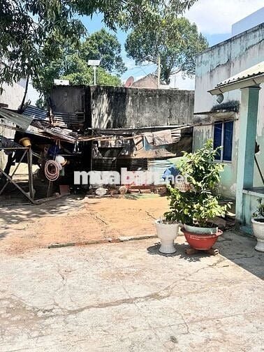 Cần bán gấp căn nhà gấp 4 và 10 phòng trọ