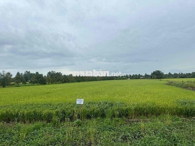 🌾 CHÍNH CHỦ CẦN BÁN QUỸ ĐẤT MẶT TIỀN ĐT.926B – TP. CẦN THƠ