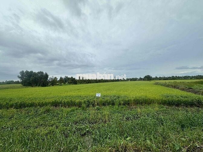 🌾 CHÍNH CHỦ CẦN BÁN QUỸ ĐẤT MẶT TIỀN ĐT.926B – TP. CẦN THƠ