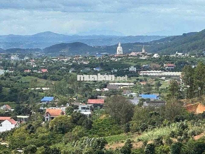 🔥 ĐẤT VIEW PHẬT BÀ MÊ LINH – GIÁ DƯỚI 1 TỶ 🔥  Diện tích 300m² (126m² t