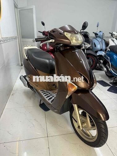 Honda Lead SCR 110 2009 Nâu