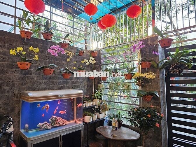 Bán Nhà 2,5 Tầng, Xây Dựng Kiên Cố, Móng 3 Tầng, Có Thép Để Nâng Tầng