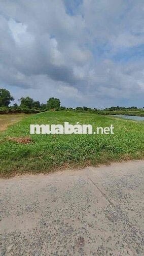 📍 ĐẤT NỀN CẦN GIUỘC – 300m² FULL THỔ CƯ – CHỈ 1,3 TỶ
