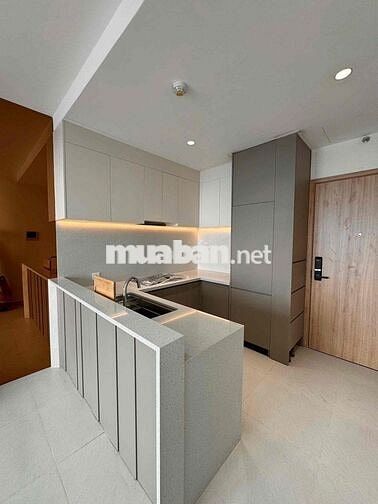 Giỏ hàng cho thuê căn hộ Aurora với nhiều diện tích giá tốt tháng 7
