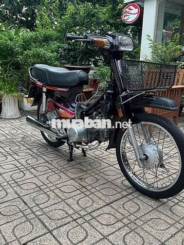 Honda Super Dream 2001 Nâu