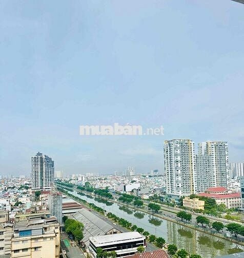 Giỏ hàng cho thuê căn hộ Aurora với nhiều diện tích giá tốt tháng 7