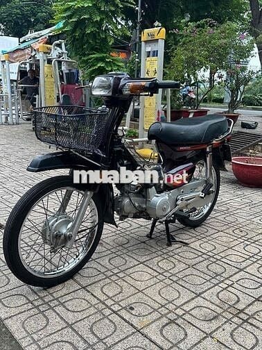 Honda Super Dream 2001 Nâu