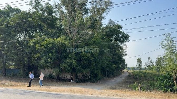 CHÀO BÁN LÔ ĐẤT SXKD VỚI, DIỆN TÍCH GẦN 3HA – GIÁP SÔNG ĐỒNG TRANH 