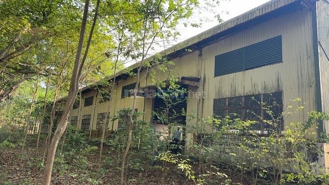 CHÀO BÁN LÔ ĐẤT SXKD VỚI, DIỆN TÍCH GẦN 3HA – GIÁP SÔNG ĐỒNG TRANH 