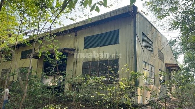 CHÀO BÁN LÔ ĐẤT SXKD VỚI, DIỆN TÍCH GẦN 3HA – GIÁP SÔNG ĐỒNG TRANH 