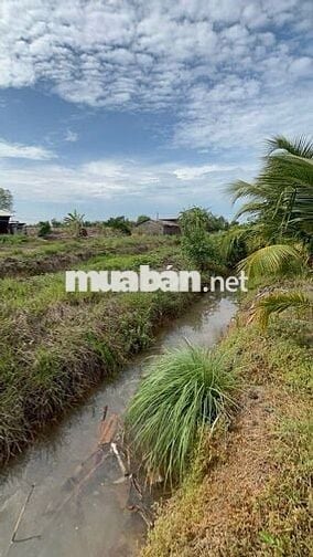 ĐẤT VƯỜN 960m² CHỈ 390 TRIỆU – CHUYỂN THỔ CƯ ĐƯỢC