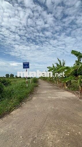 ĐẤT VƯỜN 960m² CHỈ 390 TRIỆU – CHUYỂN THỔ CƯ ĐƯỢC