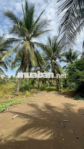 🌿 ĐẤT ĐẸP – GIÁ RẺ – GẦN TP.HCM 🌿  Chỉ từ 155