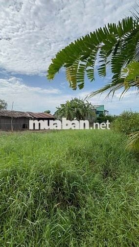 ĐẤT VƯỜN 960m² CHỈ 390 TRIỆU – CHUYỂN THỔ CƯ ĐƯỢC