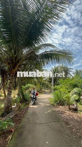 🌿 ĐẤT ĐẸP – GIÁ RẺ – GẦN TP.HCM 🌿  Chỉ từ 155