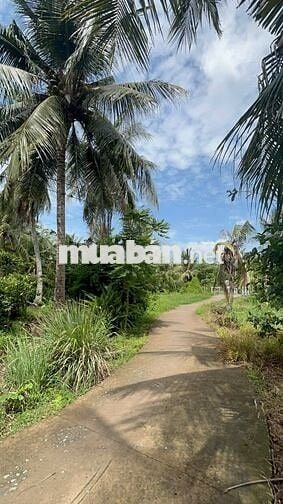 🌿 ĐẤT ĐẸP – GIÁ RẺ – GẦN TP.HCM 🌿  Chỉ từ 155