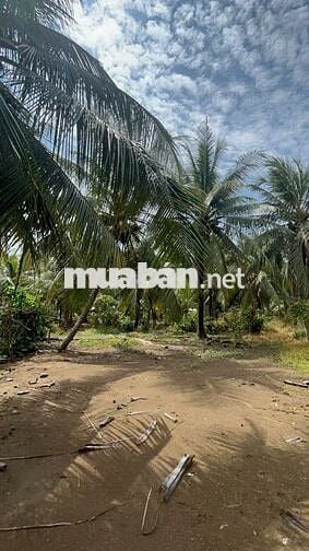 🌿 ĐẤT ĐẸP – GIÁ RẺ – GẦN TP.HCM 🌿  Chỉ từ 155