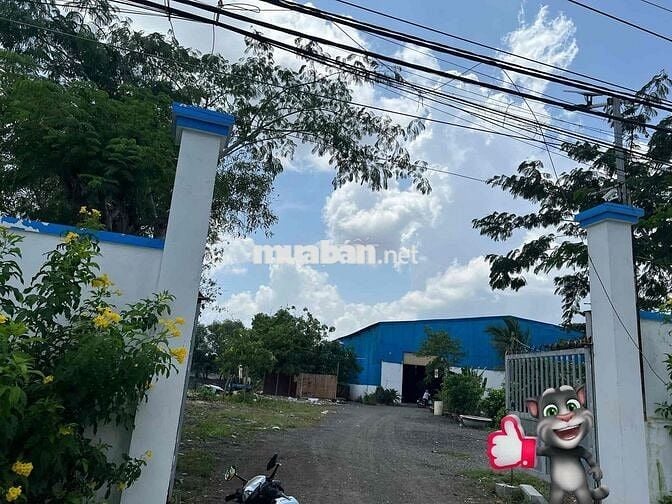 KHO XƯỞNG CHO THUÊ 2000m Giá 50trieu