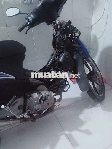 Suzuki Axelo Trắng đen Xe số