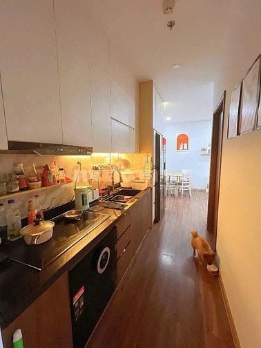 Chung cư Topaz Home, Phan VĂn Hớn, Q12: 60m2, 2p ngủ, 7triệu, NTCB