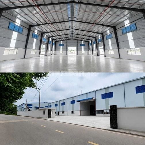 Cho thuê kho xưởng 800m2 - 5000m2 Đức Hòa, Long An - Giá chỉ 3,2 USD/m