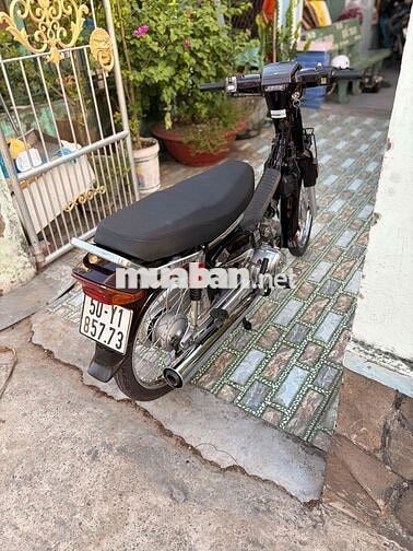 Honda Super Dream Nâu MD Zipat