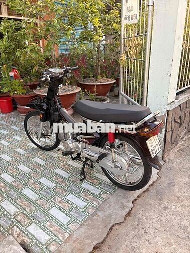 Honda Super Dream Nâu MD Zipat