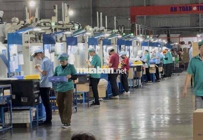 gọt nhựa , đứng máy , thoải mái