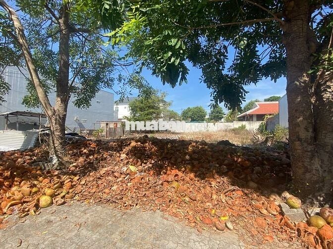 🔥 CƠ HỘI ĐẦU TƯ & AN CƯ VÀNG – LÔ ĐẤT ĐẸP SÁT VÁCH KĐT FPT CITY 🔥