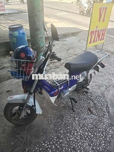 Honda Chaly 50cc 2025 Xanh trắng