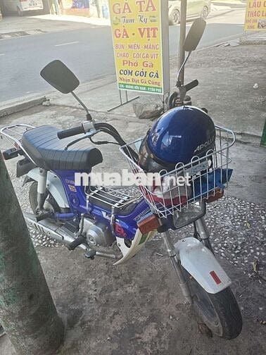 Honda Chaly 50cc 2025 Xanh trắng