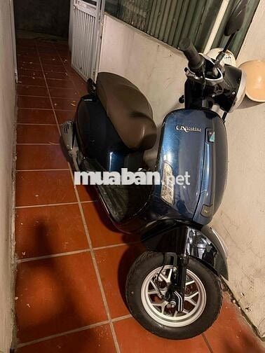 Nioshima 50cc 2022 Xanh
