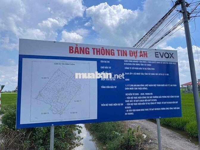 chính chủ cần bán đất thổ cư dt 5x30 tại An Nhựt Tân, Tân Trụ . SHR