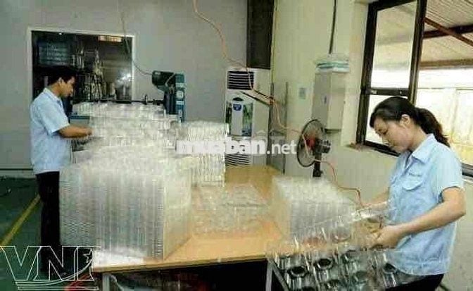gọt nhựa , làm khoẻ , nam nữ đều làm được